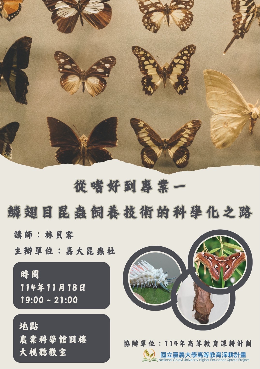 通識教育講座：從嗜好到專業—鱗翅目昆蟲飼養技術的科學化之路