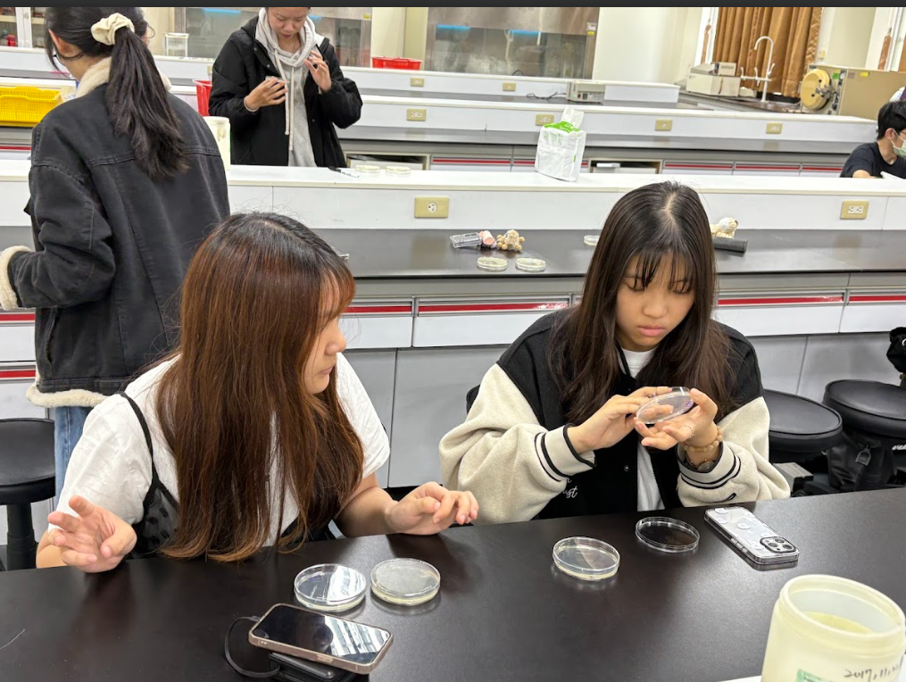 通識實踐課程：微生物與生活