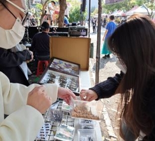 114自主學習成果展現週：嘉義大學昆蟲社-吳鳳科技大學60 周年校慶擺攤