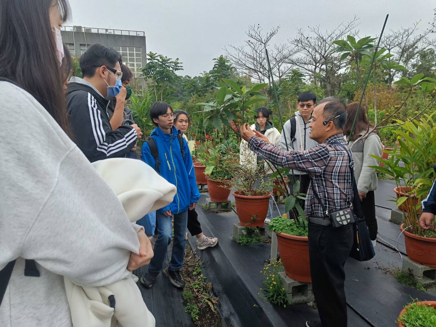 通識實踐課程：日常裡的中草藥學