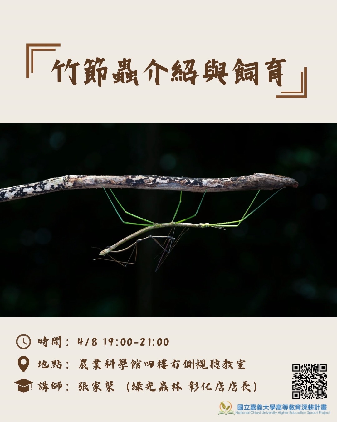 114-2通識教育講座：認識竹節蟲及飼育