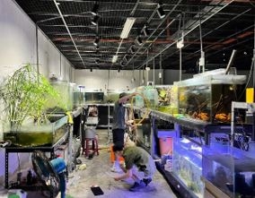 114自主學習成果展現週：水生系特色週－水生週