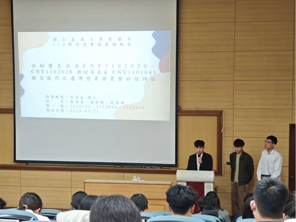 參與式實踐課程成果：114-2 實務專題研究(II)