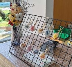 114自主學習成果展現週：園藝系-園藝學系自主學習特色週