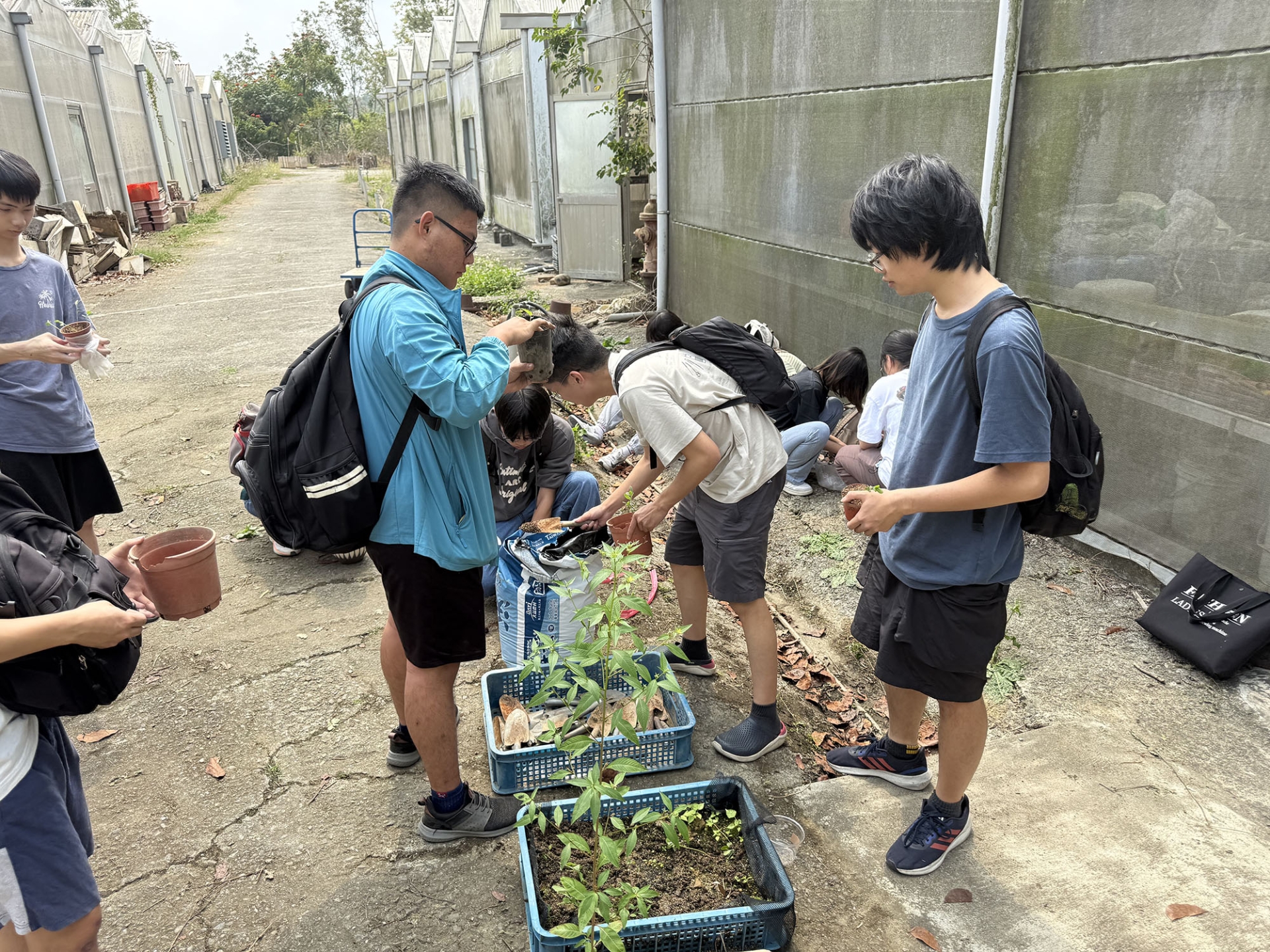通識實踐課：植物栽培與應用