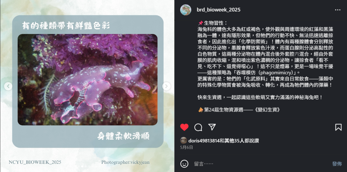 螢幕擷取畫面 2025-06-13 140534