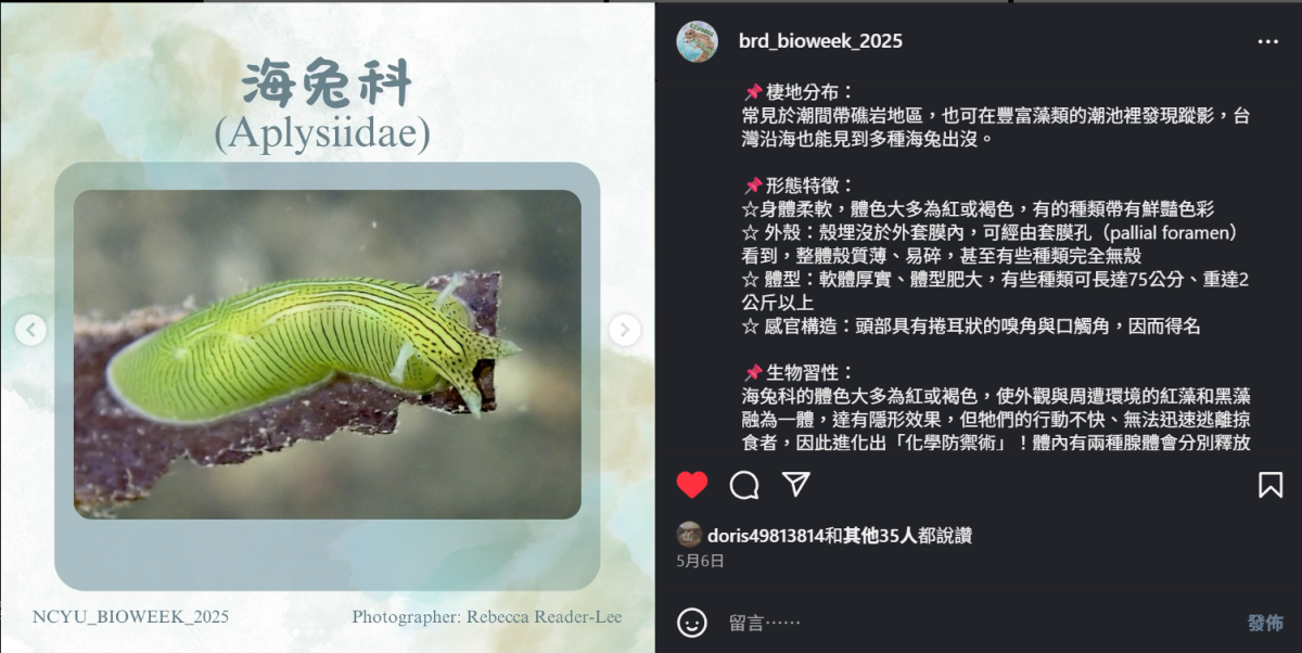 螢幕擷取畫面 2025-06-13 140513