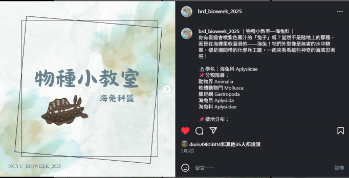 螢幕擷取畫面 2025-06-13 140211