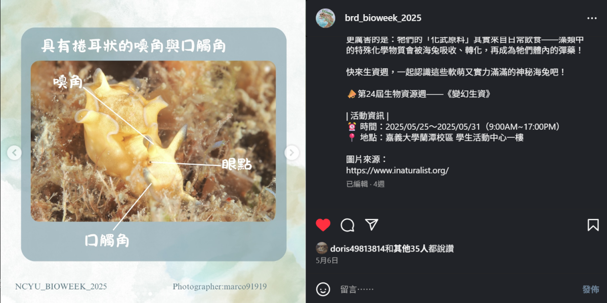 螢幕擷取畫面 2025-06-13 140557